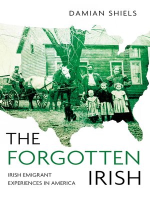 cover image of The Forgotten Irish